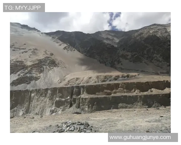 深度对话李芳在和平精英中的成长与挑战之路 深度对话李芳在和平精英中的成长与挑战之路