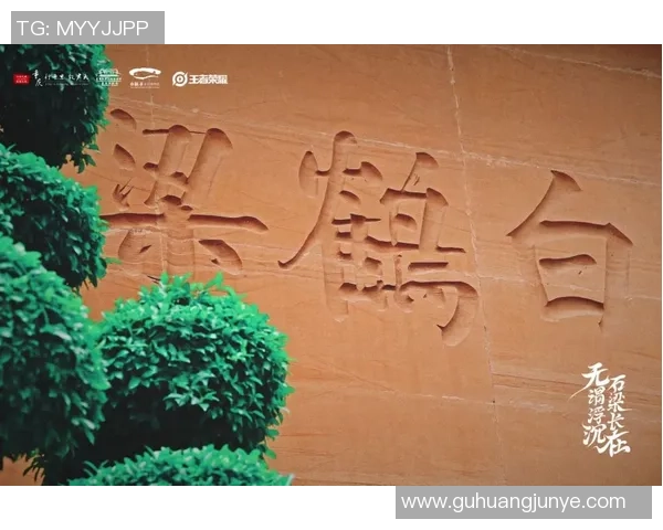 重庆街舞队速度对比独家解读揭示舞者间的竞争与合作关系